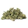 Alaskan Thunder Fuck Strain