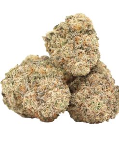 Ayahuasca Purple AAAA+ Indica