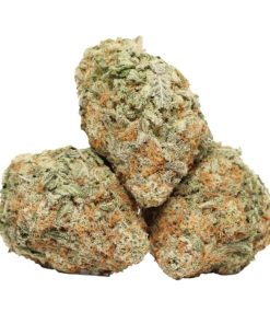 Do Si Dos Kush