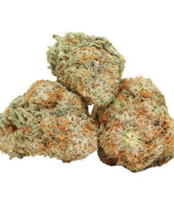 Northern Lights Strain