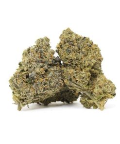 Plantinum Cake (AAAA+)
