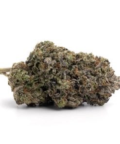 Platinum Rockstar (AAA)