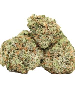 Purple Banner weed strain