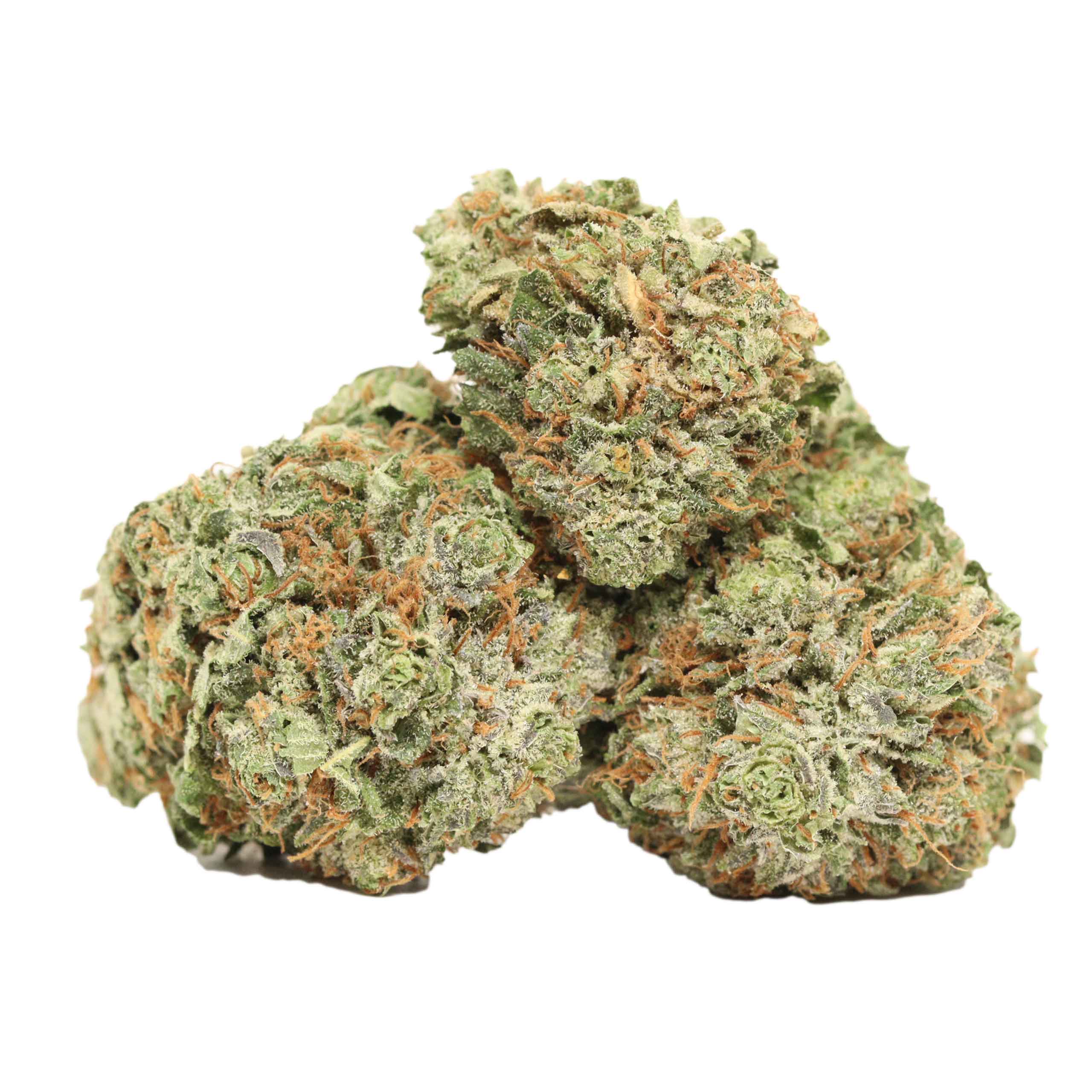 Purple Banner weed strain