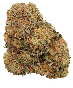 Rockstar Tuna (AAA)
