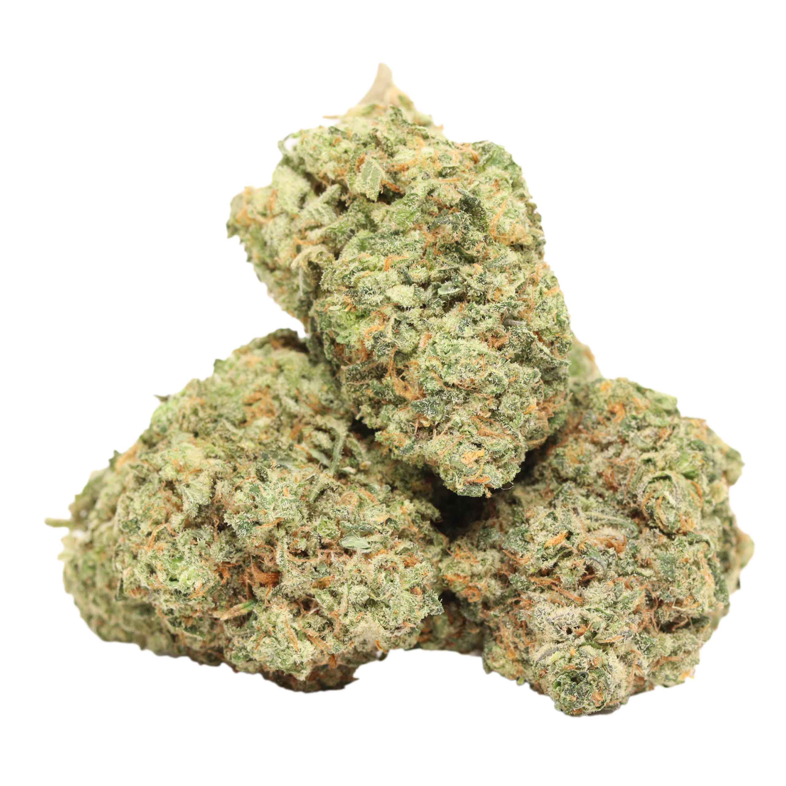 Rainy Lady Kush